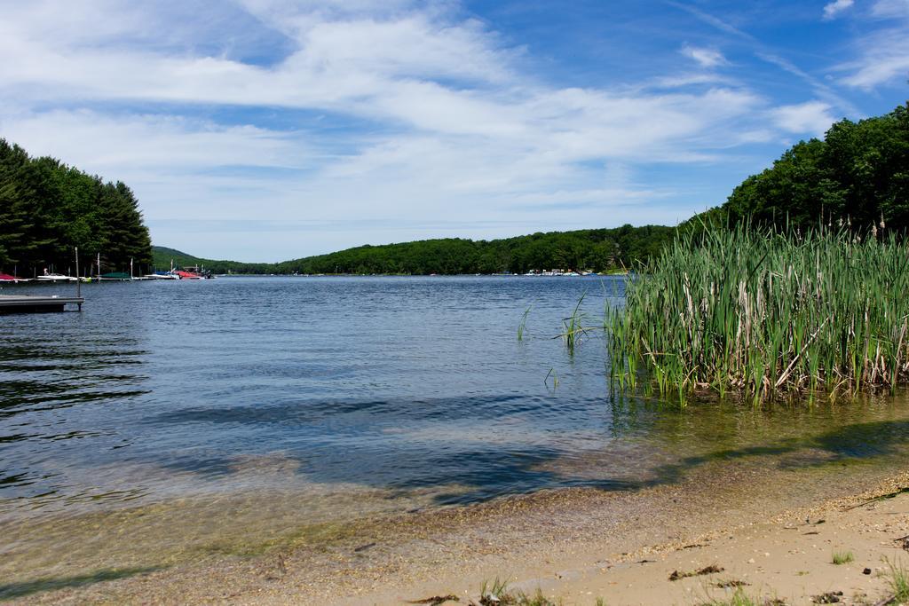 Inn At Deep Creek Oakland Bagian luar foto