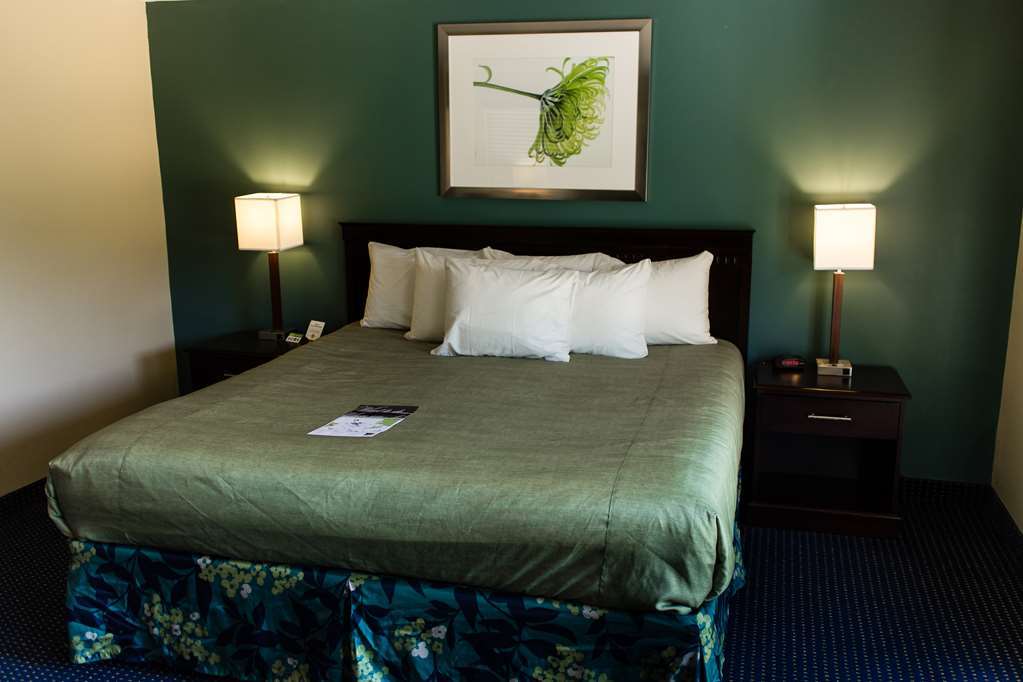 Inn At Deep Creek Oakland Ruang foto